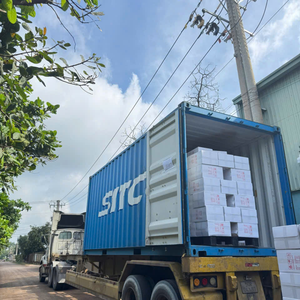 Noix de cajou vietnamiennes de première qualité, céréales de cajou Kaju SANTIGO, certifiées ISO, HACCP, cajou cassé - Product Image 5
