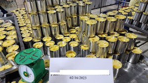 [Nouveauté] Ananas en conserve emballé de manière écologique en gros - Product Image 6