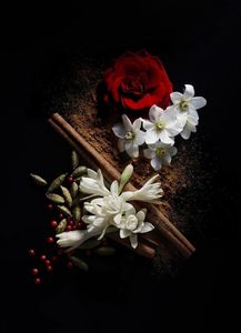 Aceite Esencial Orgánico de Oud Blanco 100% Puro, Semi-Natural, Aroma Floral Dulce y Fresco, Hidrotirificado - Product Image 4