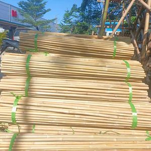 Estacas y Varas de Bambú de hasta 3 m, Ideales para Plantas Trepadoras, Cercas de Jardín y Decoración - Product Image 1