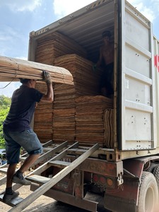 แผ่นไม้วีเนียร์แกนไม้ยูคาลิปตัส/อะคาเซีย/ยางพารา แบบตัดโรตารี่ แท้ 100% สำหรับทำไม้อัด ขายส่ง - Product Image 6