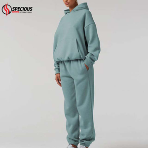Survêtements à capuche pour femmes, coupe classique, les plus vendus, avec logo personnalisé, pantalons décontractés, vêtements d'automne, 100 % coton respirant, couleur unie - Product Image 2