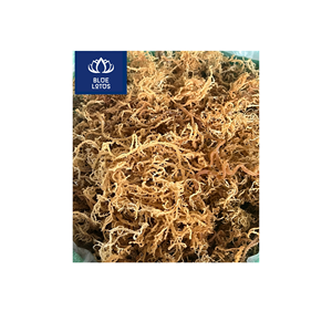 Algas Marinas Secas Ecológicas de Primera Calidad, Seguras y Limpias, Ideales para la Elaboración de Geles y Mezclas de Bebidas, Precio Directo - Product Image 1