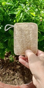 Factory Production Universal Eulogy Bowl Loofah Cleansing <b>Brush</b> Plush Head <b>Long</b> <b>Handle</b> Wooden Body Silicone <b>Brush</b> - Product Image 4