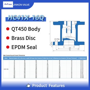 HC41X-16Q Sfero Döküm Sessiz Çek Valf PN16 Flanş Uçlu EPDM Conta Pirinç Diskli Su Pompası HVAC Yangın Koruma - Product Image 4