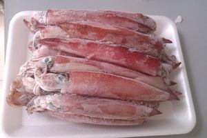 Calamar ILLEX / Calamar TODARODES entier congelé - Fournisseur B2B de produits de la mer congelés - Product Image 3