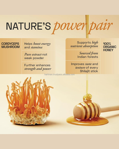 Complément alimentaire en résine de Shilajit pure au miel pour renforcer l'immunité, améliorer l'énergie et la vitalité - Product Image 3