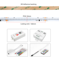 WS2811 Bande LED RVB adressable numérique 24V Programmable Pixel SPI Dream Color IP20 Utilisation non étanche pour l'intérieur