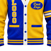 Cardigans Sorority Sigma Gamma Rho, bleu roi et or, color block, pulls pour femmes, col en V, tricot acrylique, logo brodé grec.