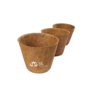 Pot en fibre de coco naturelle TOP, biodégradable, pour la culture en pépinière et l'exportation - Product Image 1