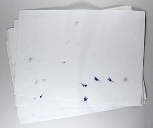 Hot Selling Cotton Premium Papers' 10 A4 Letter Heads + 5 Envelopes Packed As A Set In A Folder - Product Image 5