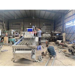 Machine de classement des noix de cajou de haute qualité, best-seller 2025, provenant de l'usine du Vietnam, grande capacité, état neuf, fabriquée à partir de fruits - Product Image 6