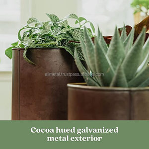 Chậu Hoa Tròn Và Chậu Trồng Cây Vàng Và Đồng Có Lỗ Thoát Nước Tuyệt Vời Cho Cây Xương Rồng Hoặc Cây Rắn - Product Image 5