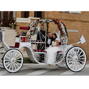 Carruaje de Cenicienta para Boda en Iglesia, Carruaje de Cenicienta para Entrada Nupcial, Carruaje Real de Cenicienta con Caballos para Boda en Sídney - Product Image 1