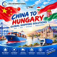 Expédition Multimodale en Hongrie depuis la Chine par Air, Mer, Rail, Express, DDP Porte-à-Porte, Agent Transitaire 7x24 en Ligne