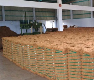 Bloc de Fibres de Coco Durables Prix Usine 2025 par Blue Lotus Farm Vietnam - Product Image 4