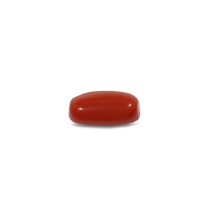 Natural Red Coral Oval Cabochon Loose Gemstone 9.7 Carat AA Quality Certified Wholesale - Product Image 3