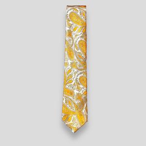 <b>Tie</b> Benon Dark Yellow Paisley <b>Tie</b> with Jacquard Printed Business Style <b>Silk</b> Polyester Woven Featuring Checked Pattern - Product Image 2