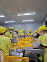 Exportkwaliteit gedroogde mango uit Vietnam, premium gedroogd tropisch fruit, groothandel. Koop 2 ton, krijg 99 kg gratis.