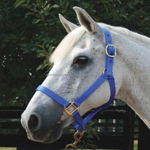 Halter de nailon grueso de Triple capa, costura duradera y hardware de alta calidad en tres colores variados - Product Image 1