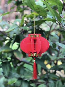 Fábrica Ofrece Farolillos de Seda de Bambú Hoi Baratos, Farolillos de Seda Tradicionales Vietnamitas con Logotipo Personalizado para Bodas, Vietnam - Product Image 5