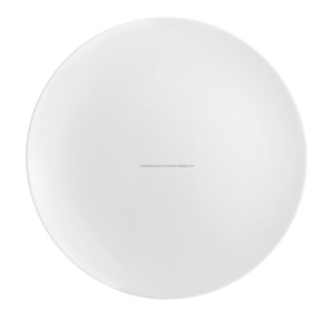 MOQ 100ชิ้นจานทาสีพอร์ซเลนเป็นมิตรกับสิ่งแวดล้อมลายพืชปรับสีและโลโก้ได้ - Product Image 1