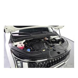 Kia Carnival 2024, Limusina de 7 Plazas, Techo Alto, Gasolina, Caja de Cambios Automática, 36,652 km, Volante a la Izquierda - Product Image 6