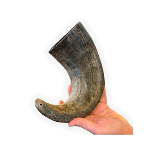 Alimento Masticable Artesanal para Perros, Cuerno de Búfalo Genuino Indio de la Mejor Calidad, Envío a Todo el Mundo - Product Image 3