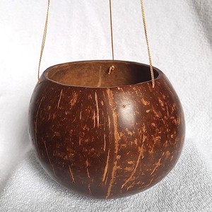 Coconut shell <b>pot</b> for bonsai <b>succulent</b> great quality sustainable planters wholesale flower <b>pots</b> - Product Image 1