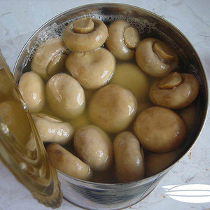 Champiñones enlatados/ Precios al por mayor de champiñones enlatados/ Champiñones en rodajas enlatados - Product Image 3