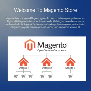 Tienda Apex Personalizada en Magento: Soluciones Definitivas de Comercio Electrónico que Optimizan las Operaciones y Maximizan el Impacto de la Tienda Online - Product Image 2