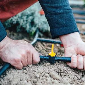 Válvula de Conexión Lateral Profesional de 16mm/20mm, Conector Recto para Líneas de Goteo Agrícolas y Sistemas de Riego por Goteo para Viveros - Product Image 3