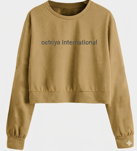 Ostriya Intl 2026 Women Streetwear Turtleneck Lightweight 100% Cotton Embroidered <b>Drop</b>-shoulder Sweatshirt Loose Fit Oversized - Product Image 6