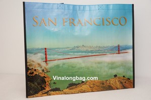 Bolsa Promocional de Tela No Tejida, Bolsa de Compras Personalizada con Impresión para Publicidad, Venta al Por Mayor - Product Image 5