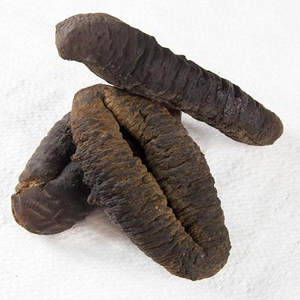 Compradores de pepino de mar seco al por mayor/ Pepino de mar seco de grado A de alta calidad - Product Image 5