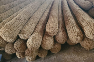 MÁS VENDIDO: Tronco de Coco para Estabilización de Taludes y Reparación de Bordes de Arroyos, Fibra Limpia, Stock Disponible, Comercio Global - Product Image 6