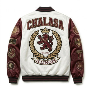 Chaqueta Varsity de Seda Satinada de Alta Calidad, Impermeable, Resistente al Viento, con Cuello Alto, Cierre Personalizado, Diseño de Moda para Hombre, para Invierno - Product Image 2