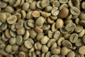 Grains de café vert du Vietnam Arabica sélectionnés à la main processus naturel haricot entier OEM/ODM disponible - Product Image 6