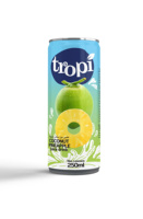 Op maat gemaakte fruitsapcocktail met smaak, NFC 100% kokoswater, geen concentraat, natuurlijke ingrediënten, 250ml/330ml/500ml