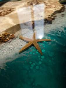 Mesa de Centro de Resina de Estilo Americano con Diseño Excelente, Hecha en Indiana, de Alta Calidad, para Sala de Estar o Fiestas - Product Image 3