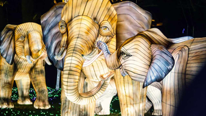 Китайские фонари в виде животных для украшения улиц, зоопарков и парков на фестивалях - Product Image 2