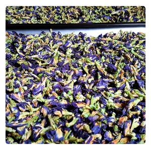 Vente flash : Fleur de pois papillon biologique |   Prix d'usine |   Échantillon GRATUIT - Product Image 4