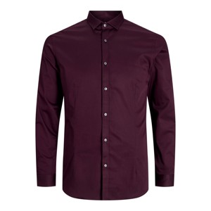 Men's Formal Dress Shirt Solid Color Turn-<b>Down</b> Collar Full Sleeve 100% Cotton Anti-Wrinkle Poplin Fabric Autumn Wear - Product Image 4