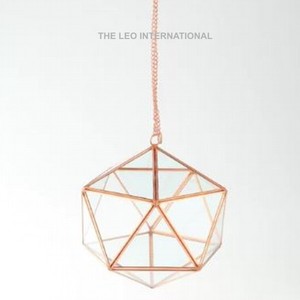 Metal <b>Terrarium</b> Fancy Color Modern <b>Terrarium</b> <b>for</b> <b>Sale</b> New Design Decoration Best Quality <b>Terrarium</b> <b>for</b> <b>Sale</b> - Product Image 2