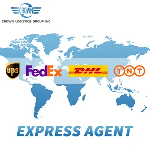 Snelle Levering Deur Tot Deur Logistiek Dhl Ups Fedex Tnt Ems Usps Express Verzending China Naar Spanje France Europa