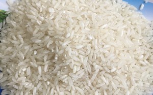 El mejor precio para arroz blanco de grano largo 25% arroz seco de alta calidad roto de VILACONIC _ Mrs Jennifer - Product Image 3