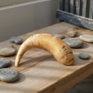 Shofar Kosher de Cuerno de Carnero Real Touch, Semipulido |   Auténtico Cuerno de Shofar de Uttar Pradesh |   Corneta Judía - Product Image 1