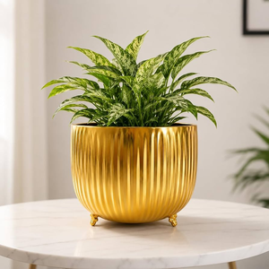 Brass Decorative Planter Pot Indoor Desk Planter Pot Plated Indoor <b>Desktop</b> Planter for Green Plants Minimalist Style - Product Image 3