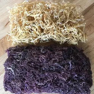 Best supplier dried purple irish sea moss with cheap price/ BIG DEAL natural sea moss export from VietNam