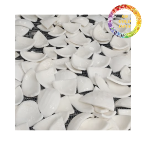 Viande de noix de coco naturelle surgelée IQF, pulpe de noix de coco fraîche, noyau blanc pour l'exportation et la transformation - Product Image 6